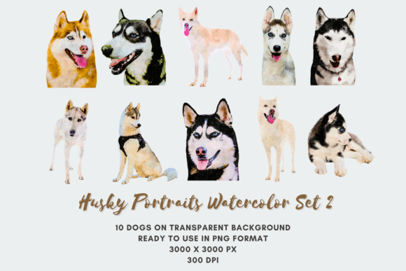 10 Husky Portraits Watercolor Set 2 Dog