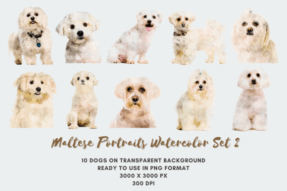 10 Maltese Portraits Watercolor Set 2
