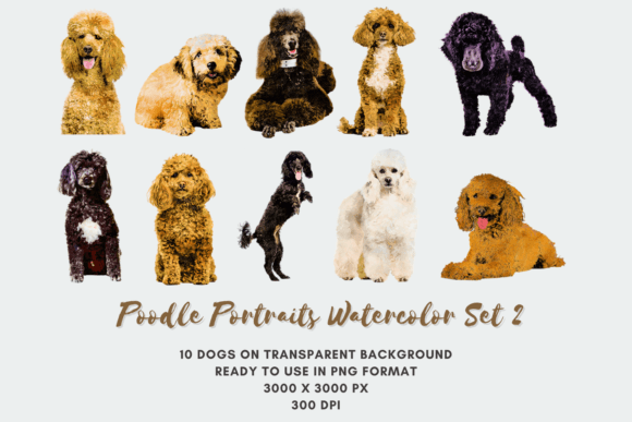 10 Poodle Portraits Watercolor Set 2: A Versatile Digital Asset for Creative Projects