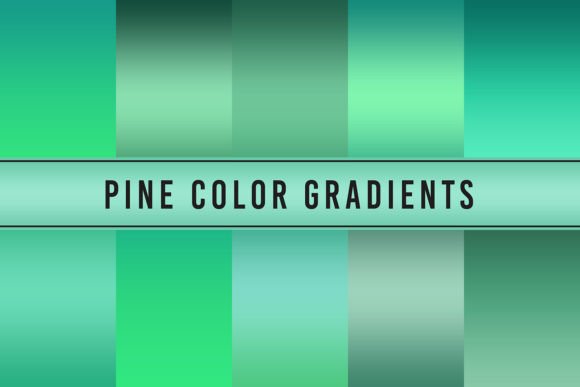 Pine Color Gradients for Creative Projects